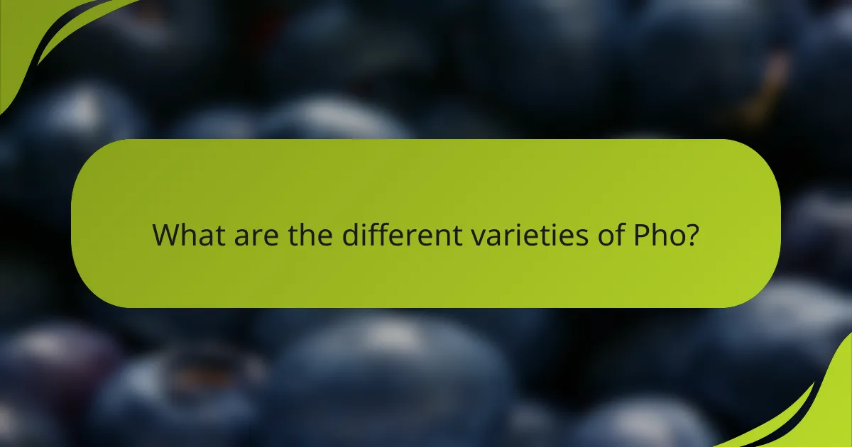 What are the different varieties of Pho?