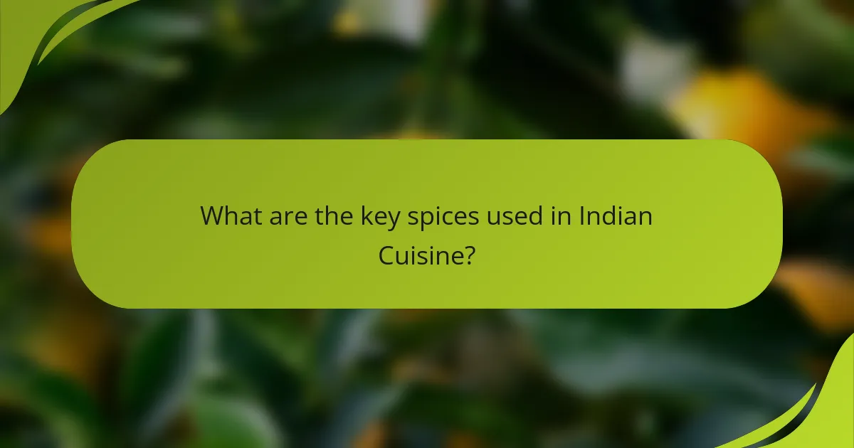 What are the key spices used in Indian Cuisine?