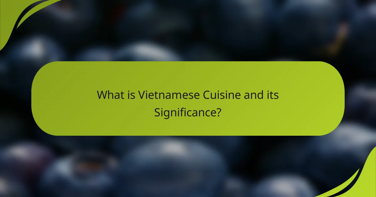 What is Vietnamese Cuisine and its Significance?